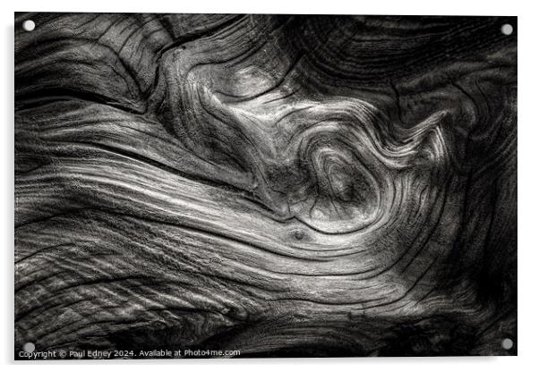 Monochrome curves in driftwood on Ynyslas Beach, W Acrylic by Paul Edney