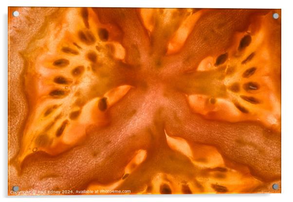 Tomato slice abstract Acrylic by Paul Edney