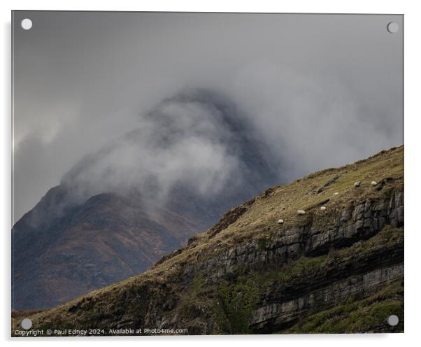 Sheep on the edge, Isle of Skye, Scotland Acrylic by Paul Edney