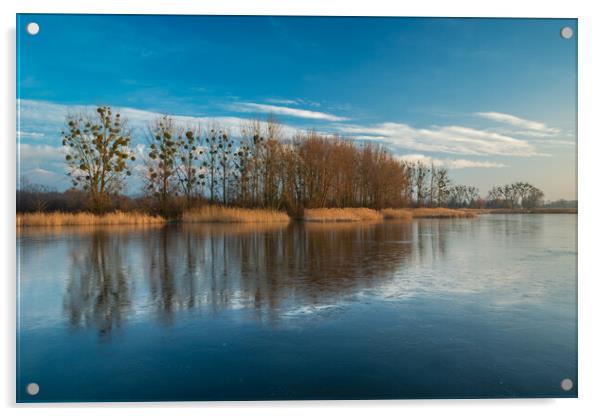 Reflection of trees in a frozen lake Acrylic by Dariusz Banaszuk