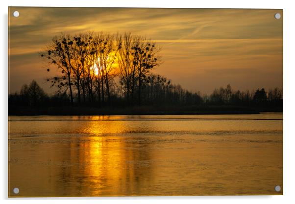 Golden sunset behind trees over a frozen lake Acrylic by Dariusz Banaszuk