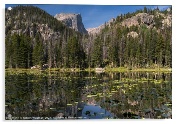 Late Summer Lily Pads on Nymph Lake, in Rocky Mountain National Park, Colorado. Acrylic by Robert Waltman