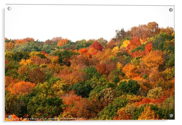 Fall Colors side of a hill Acrylic by Pete Klinger