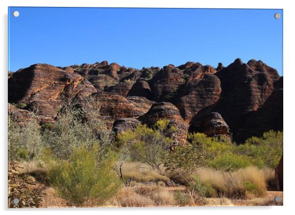 Bungle Bungles Australia  Acrylic by Sandra  Hawkins 