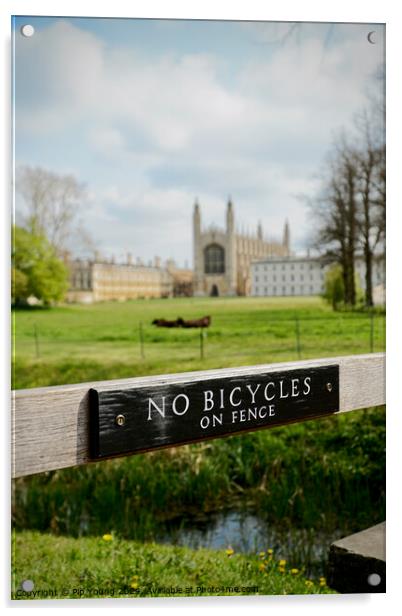 Summer at King's College Cambridge Acrylic by Pip Young