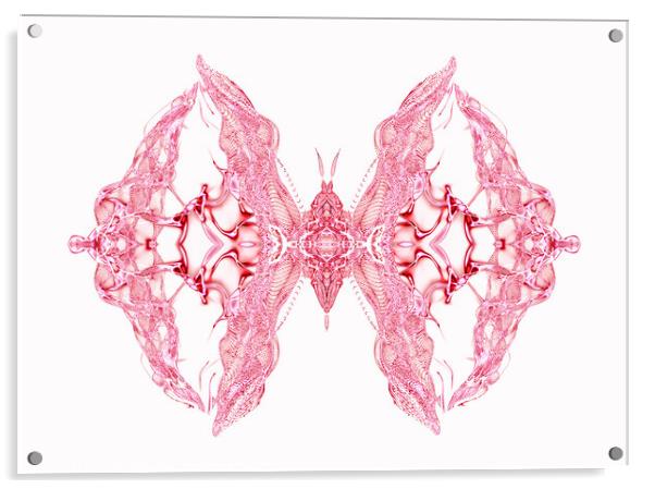 Butterfly Series: Intricate Pink Lace Butterfly Acrylic by FocusArt Flow