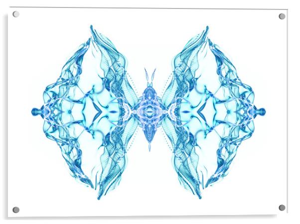 Butterfly Series: Blue butterfly over white background Acrylic by FocusArt Flow