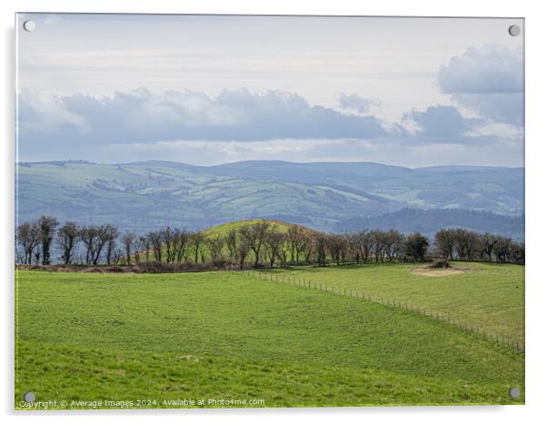 Stapeley Hill Acrylic by Average Images