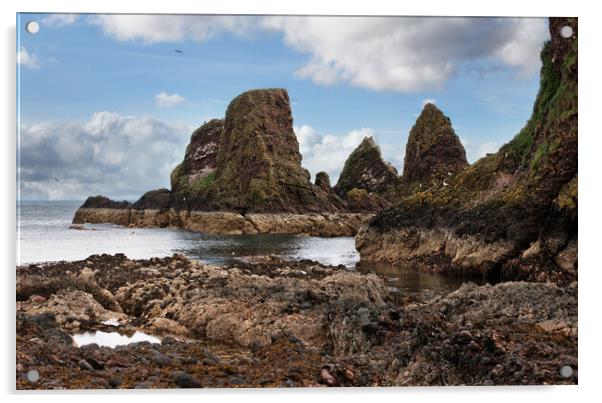 Dunottar Bay Acrylic by Karl Oparka