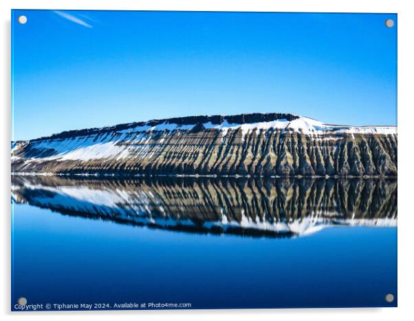 Arctic Reflections Acrylic by Tiphanie May