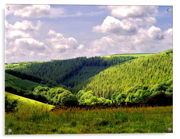 Devon Landscape Acrylic by val butcher