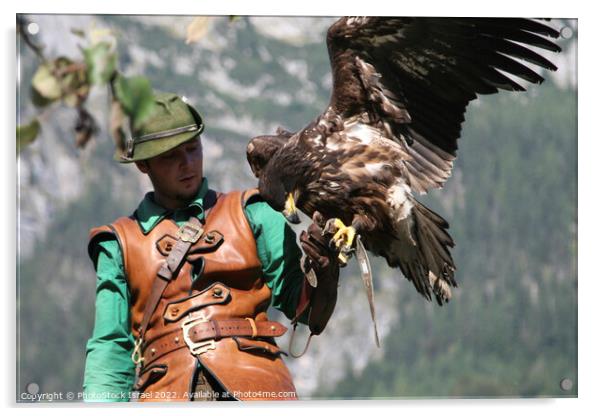 Austria falcon show Acrylic by PhotoStock Israel