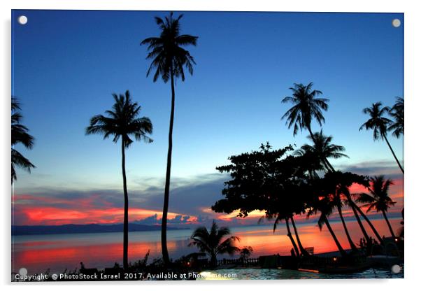 palm trees at sun set Koh Phangan Thailand Acrylic by PhotoStock Israel