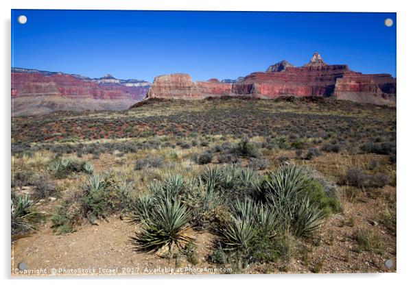 Grand Canyon National Park Acrylic by PhotoStock Israel