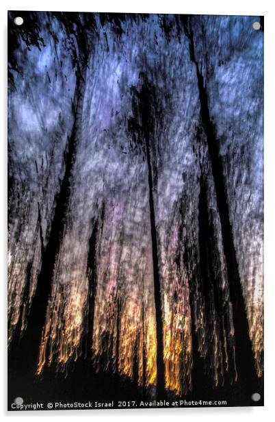 Motion blurred trees in a forest Acrylic by PhotoStock Israel