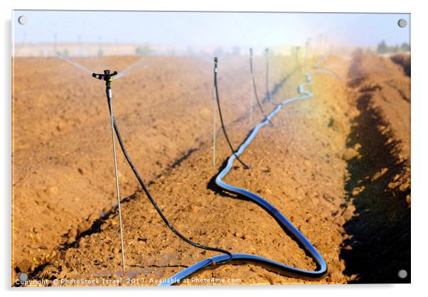 Israel, Negev, watering fields with sprinklers Acrylic by PhotoStock Israel