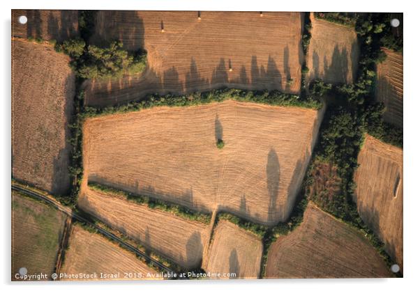 Spain, Catalonia, agriculture Acrylic by PhotoStock Israel