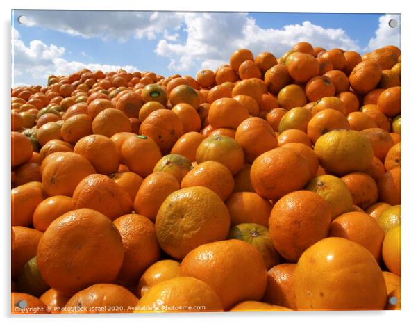 clementine  Acrylic by PhotoStock Israel
