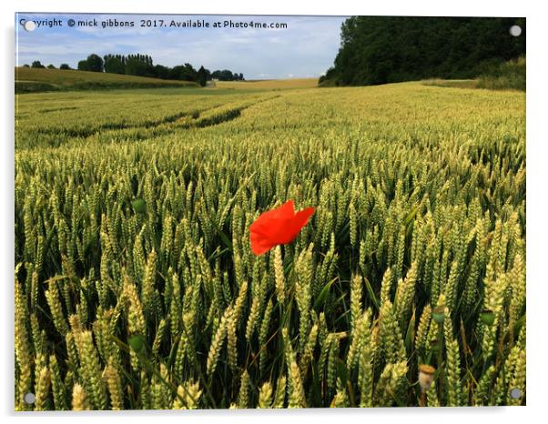 lone Poppy watches over field of hope and glory  Acrylic by mick gibbons