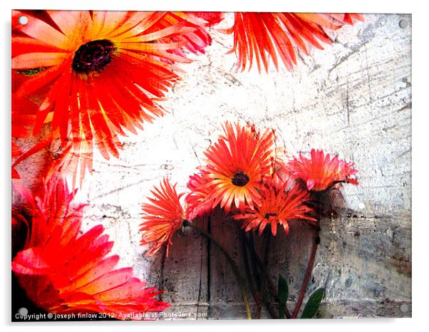 abstract floral Acrylic by joseph finlow canvas and prints