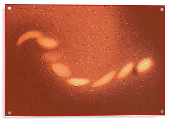 arenicolous hen viper Acrylic by Erzsebet Bak