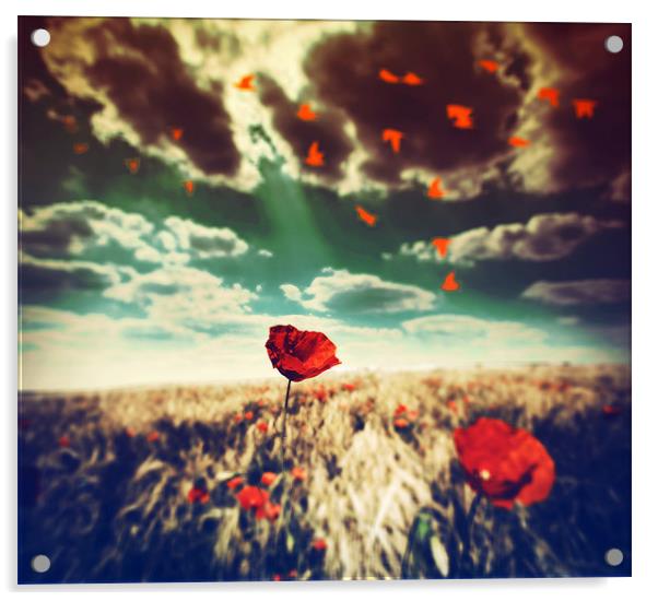 poppy dream Acrylic by miruna uzdris