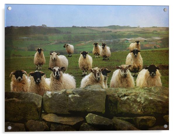 They Must Think They're Getting Fed Acrylic by Sarah Couzens