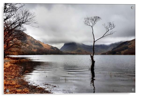 Buttermere in Winter  Acrylic by Sarah Couzens