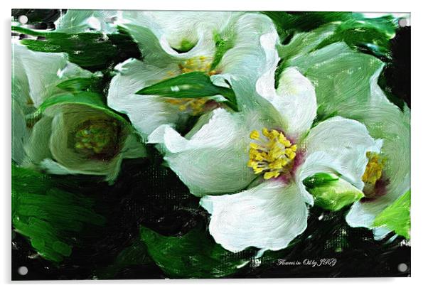 Flowers in Oil Acrylic by Vivienne Barker