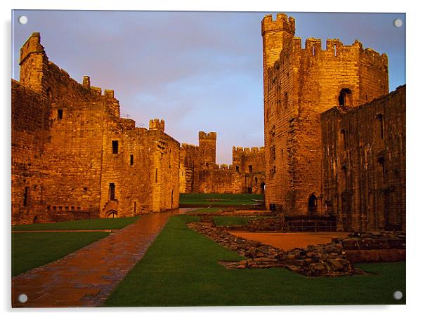 Caernarfon Castle Acrylic by Stephen Brown