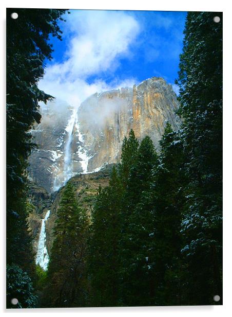 Yosemite Falls Acrylic by Stephen Brown