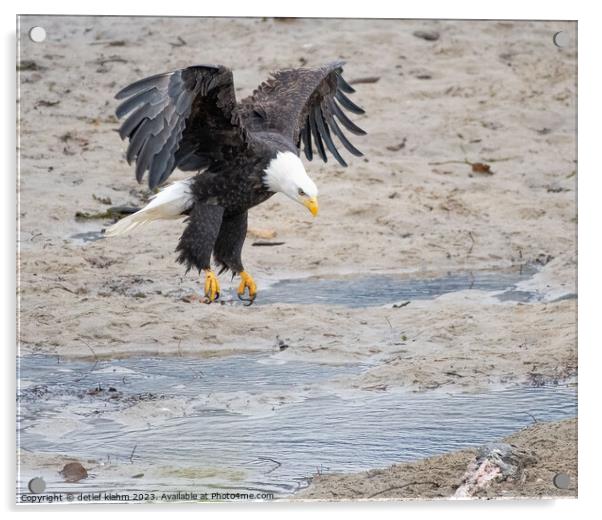 In for a landing Acrylic by detlef klahm