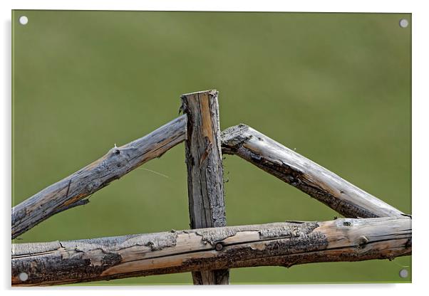 Wooden cross in a sheepfold fence Acrylic by Adrian Bud