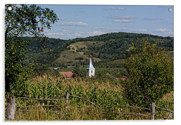 Nucet hill village Sibiu county Romania Acrylic by Adrian Bud