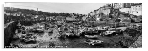 Mevagissey On The Hard In Black & White  Acrylic by James Lavott