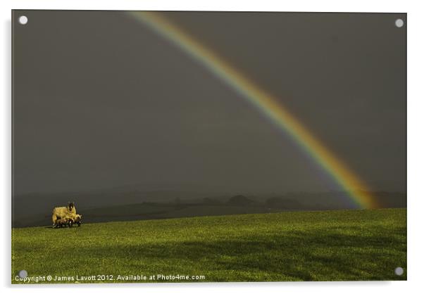 Feeding Lambs Under A Rainbow Acrylic by James Lavott