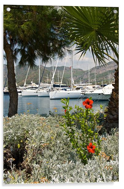 Gocek Marina Acrylic by James Lavott