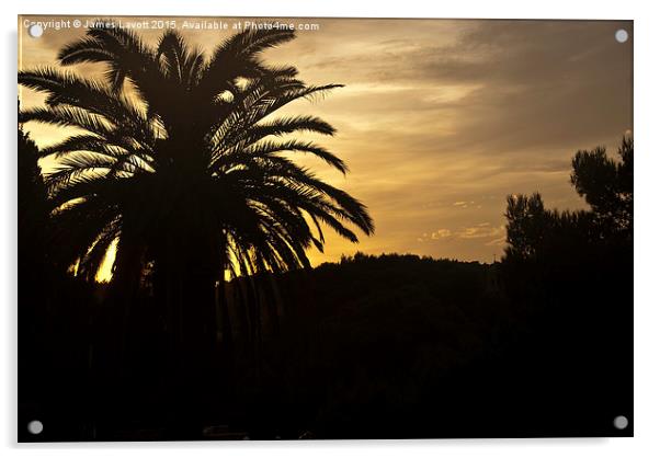  Palm Tree Sunset Acrylic by James Lavott