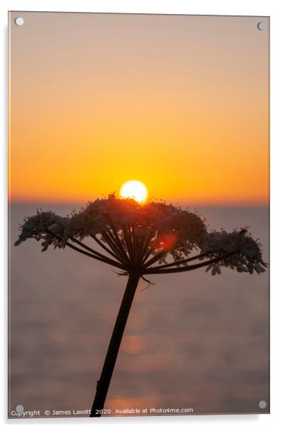 Sunset & Flora Acrylic by James Lavott