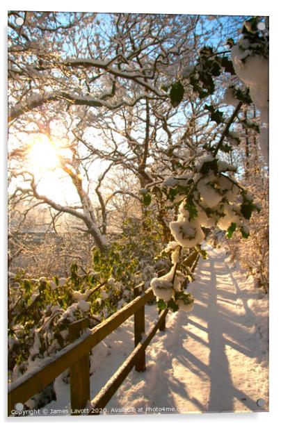 Snow Soaked Branches At Sunrise Acrylic by James Lavott