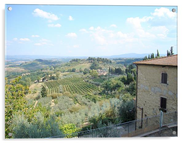 Tuscan Hills  - San Gimignano Acrylic by David Jackson