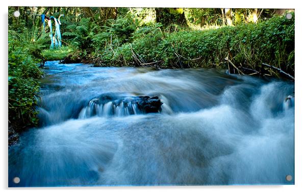 Broom Falls Acrylic by Bobby Brown