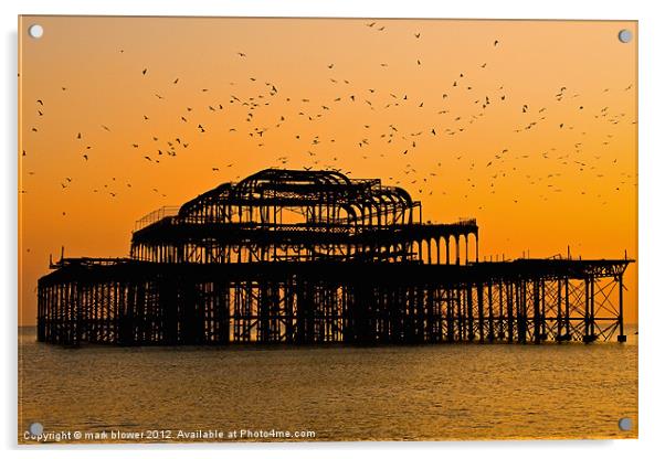 Brighton Pier Acrylic by mark blower