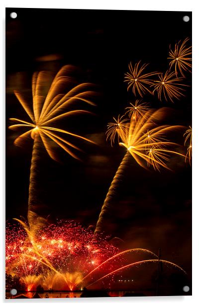  Palm Tree Fireworks Acrylic by Steve Wilson