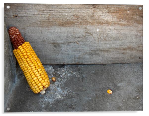 A corn spike Acrylic by Flavia Ferreira