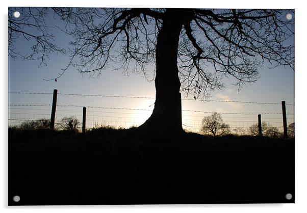 sun set tree scape Acrylic by Sarah Beattie