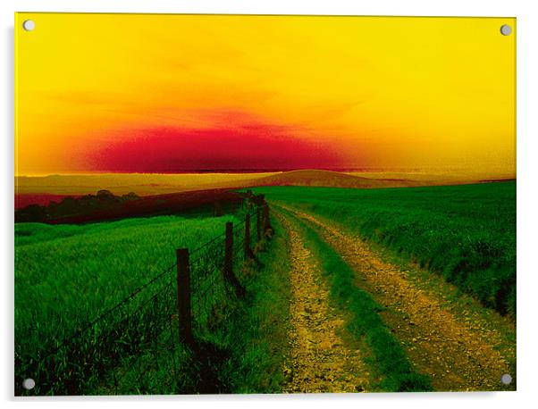Southdowns Way near Worthing,WestSussex. Acrylic by Kleve 