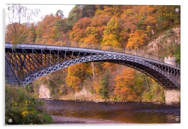 The Bridge at Craigellachie with Autumn Colour Acrylic by Jacqi Elmslie
