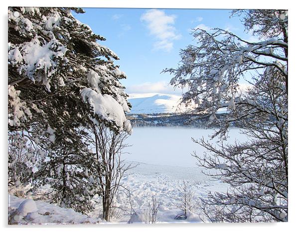 Snowy Loch Morlich Acrylic by Jacqi Elmslie