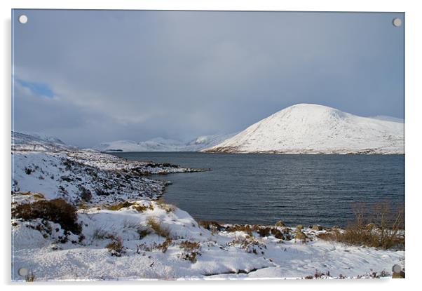 Winter Snow Scene Scotland Acrylic by Jacqi Elmslie